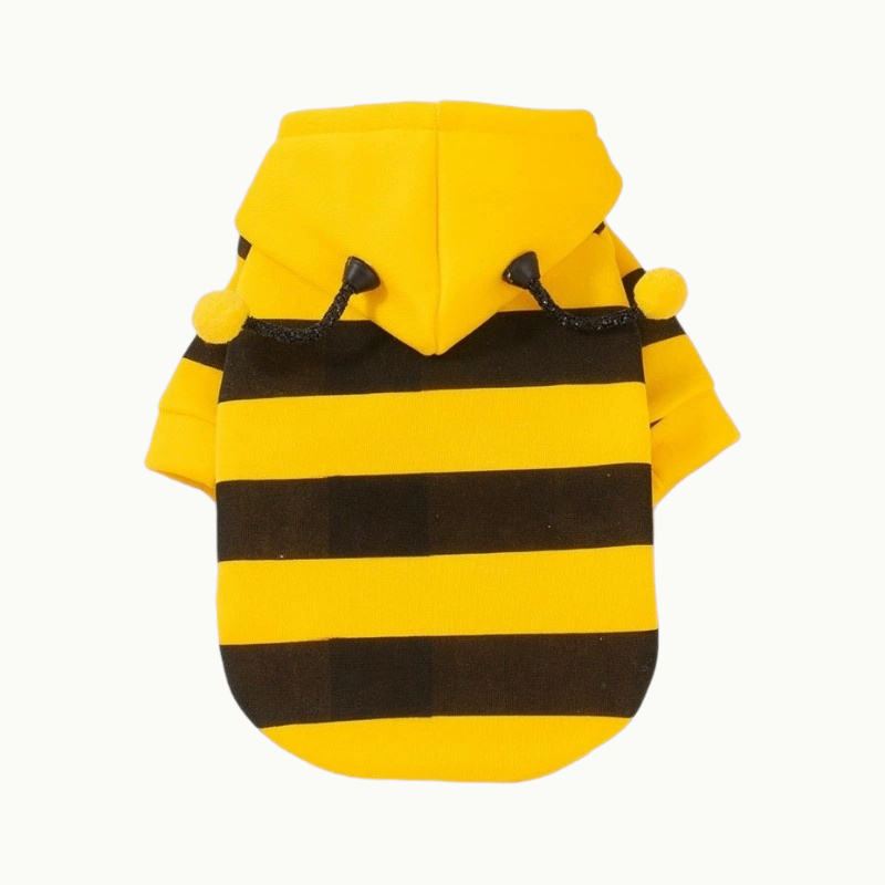 Dog Apparel