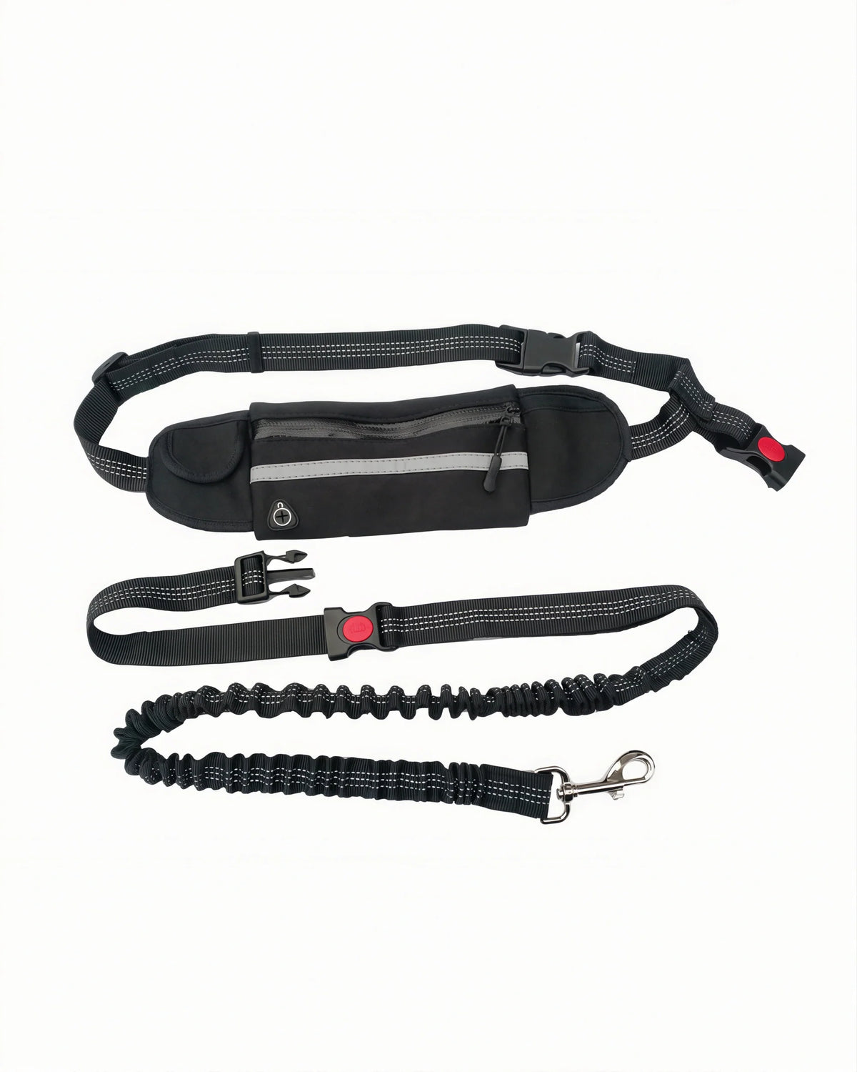 Dog Leashes
