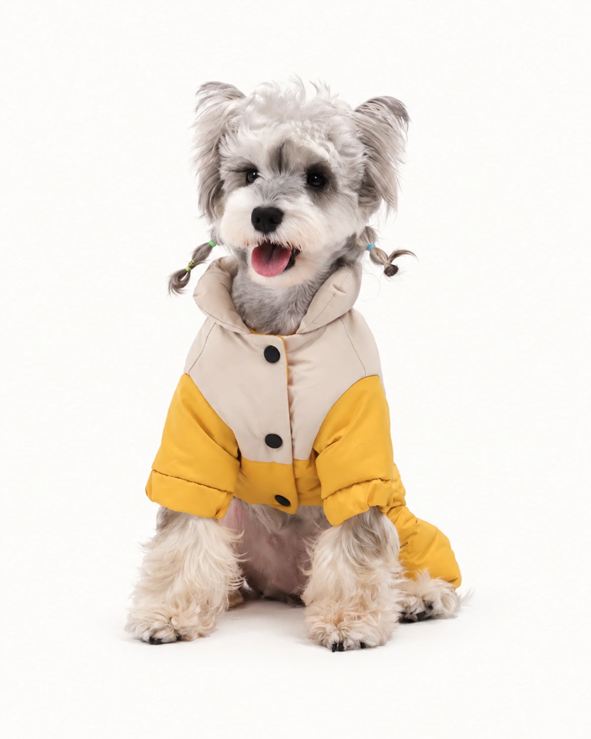 Dog Clothes