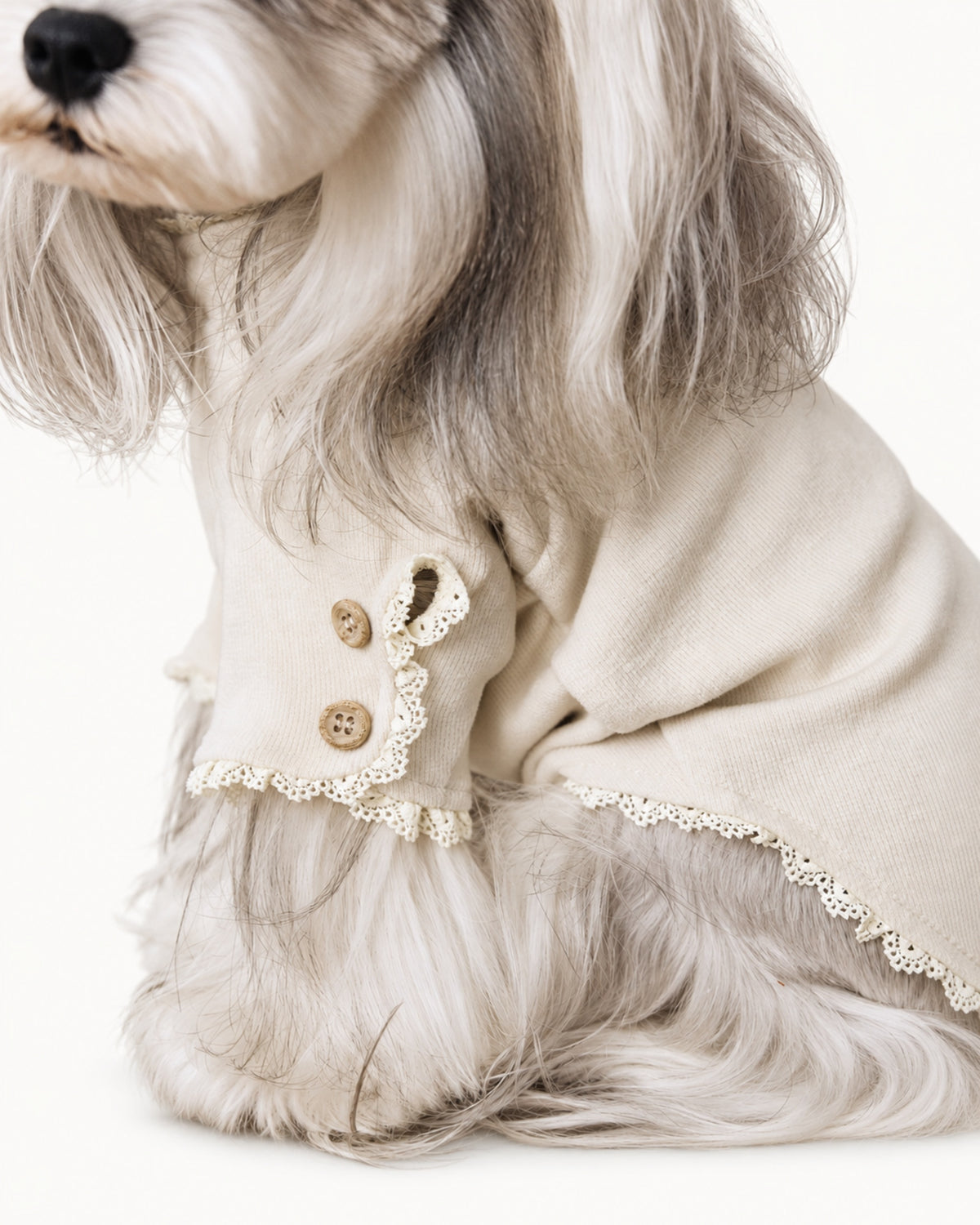 Lace Trim Knit Dog Shirt