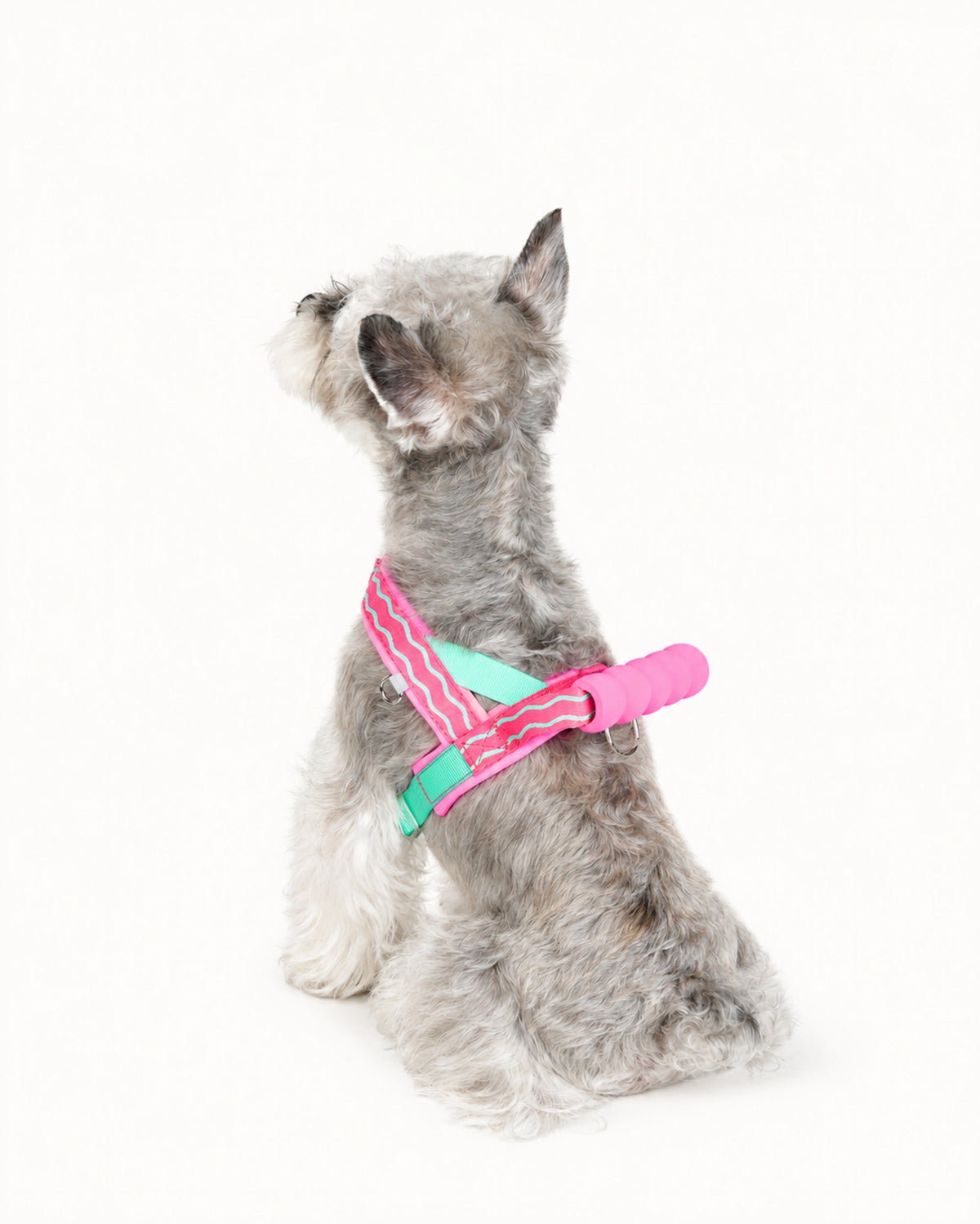 Lightweight Dog Harness