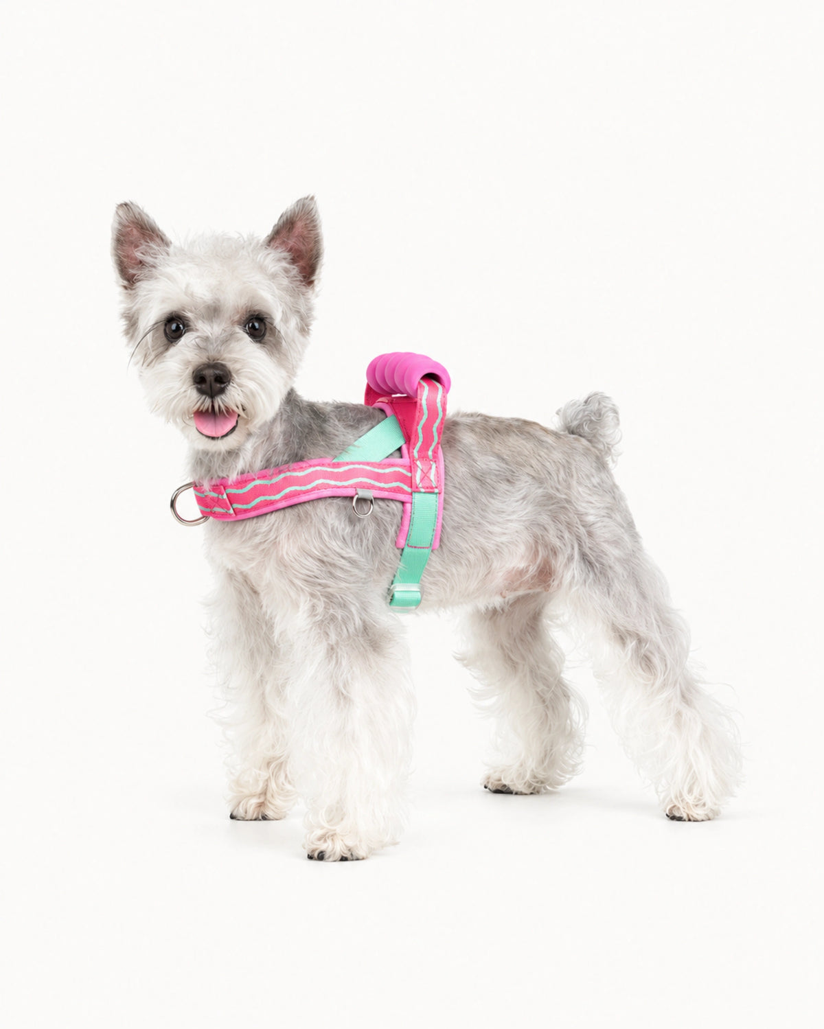 Lightweight Dog Harness