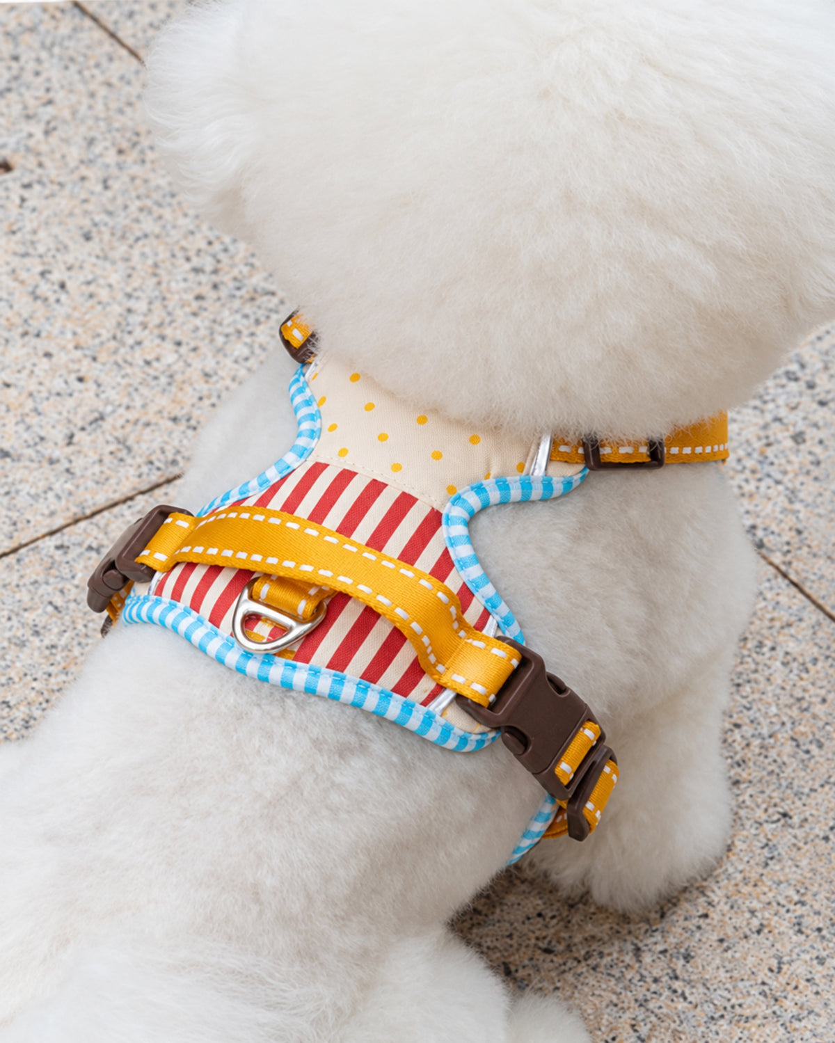 Soft Vest Dog Harness & Leash Set