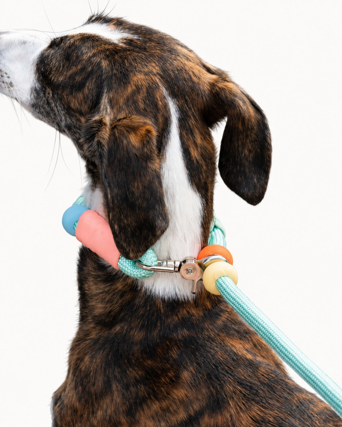 Adjustable Hands-Free Dog Leash