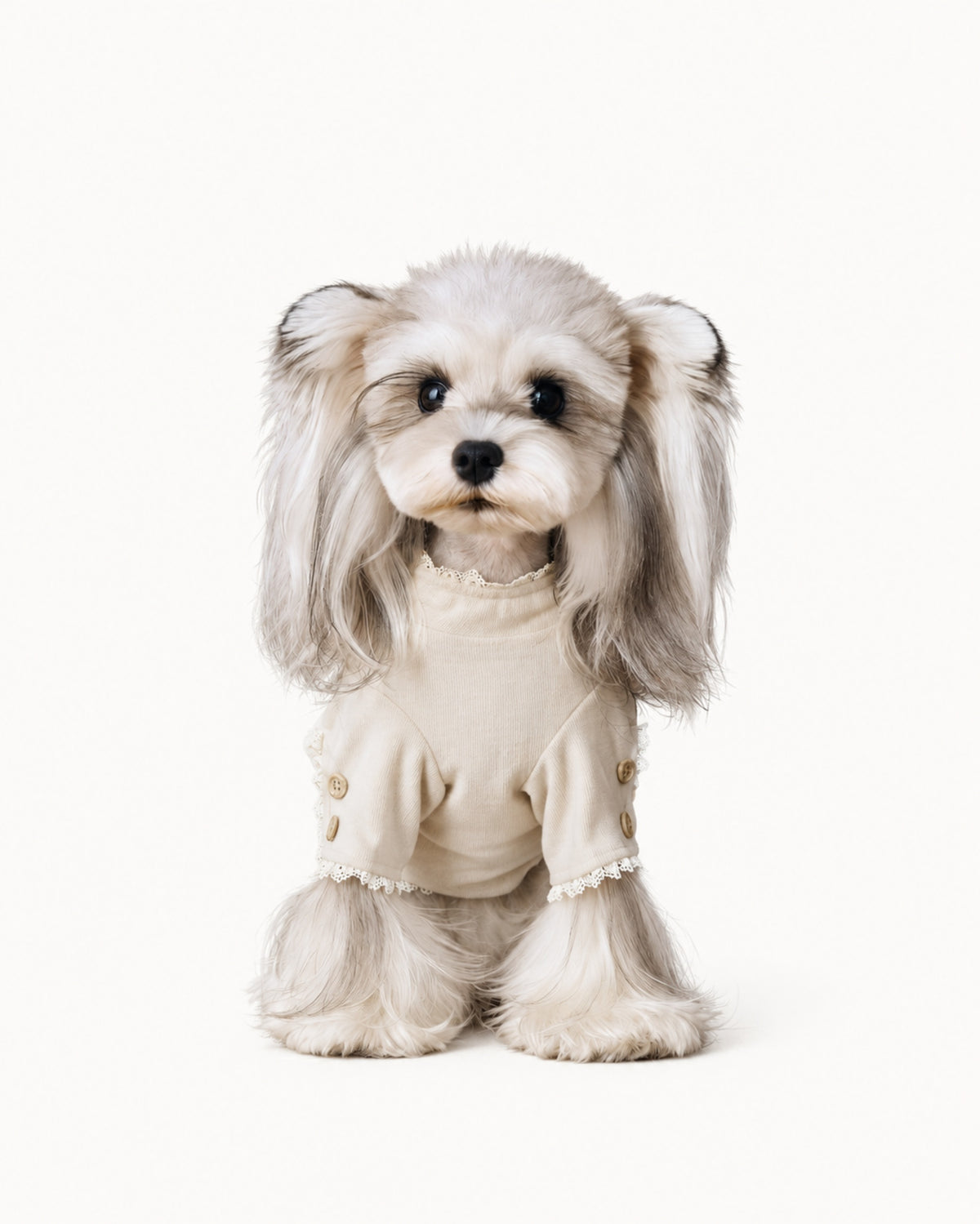 Lace Trim Knit Dog Shirt