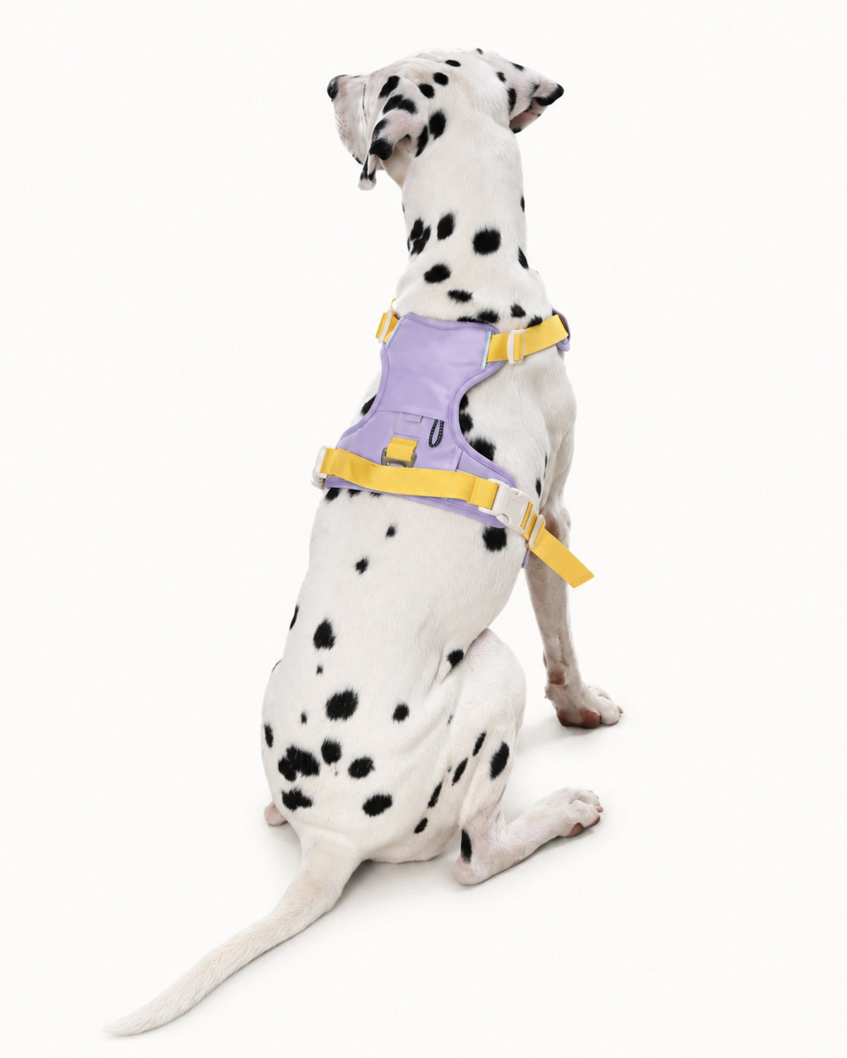 Breathable Mesh Dog Harness