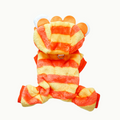 Pet Lion Costume