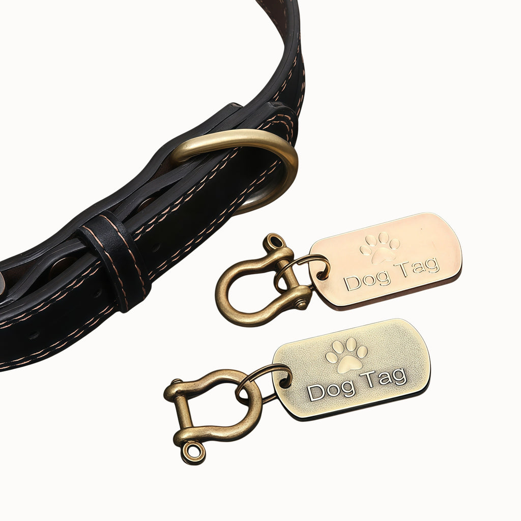 Custom Pet ID Tag