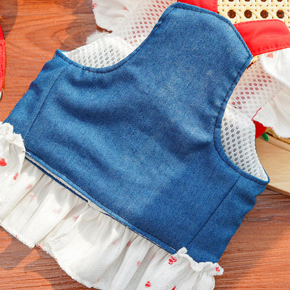 Ins Style Cat Denim Dress | Cute Pet Skirt Outfit