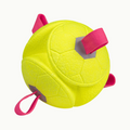 Floating Soccer Dog Toy
