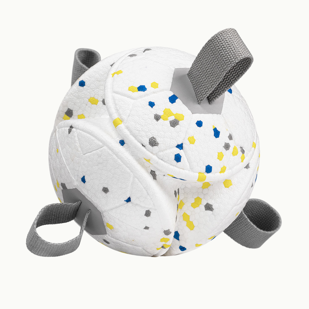 Floating Soccer Dog Toy