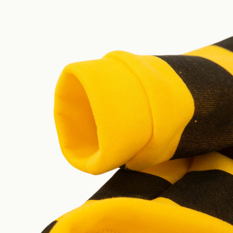 Bee Dog Hoodie