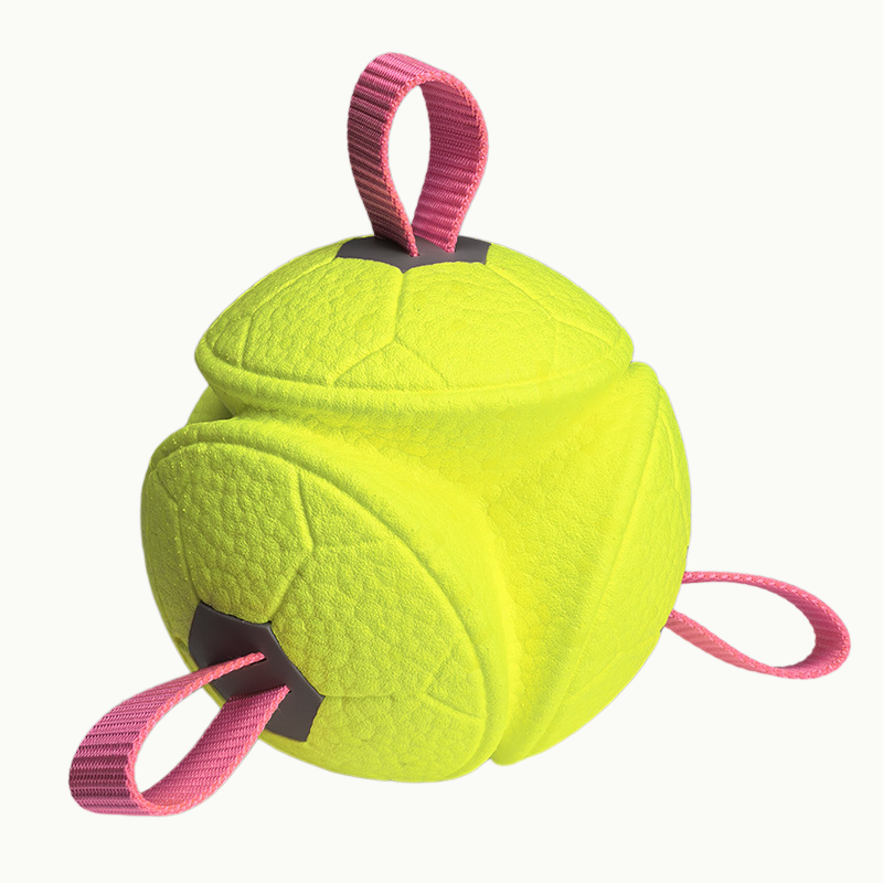 Floating Soccer Dog Toy