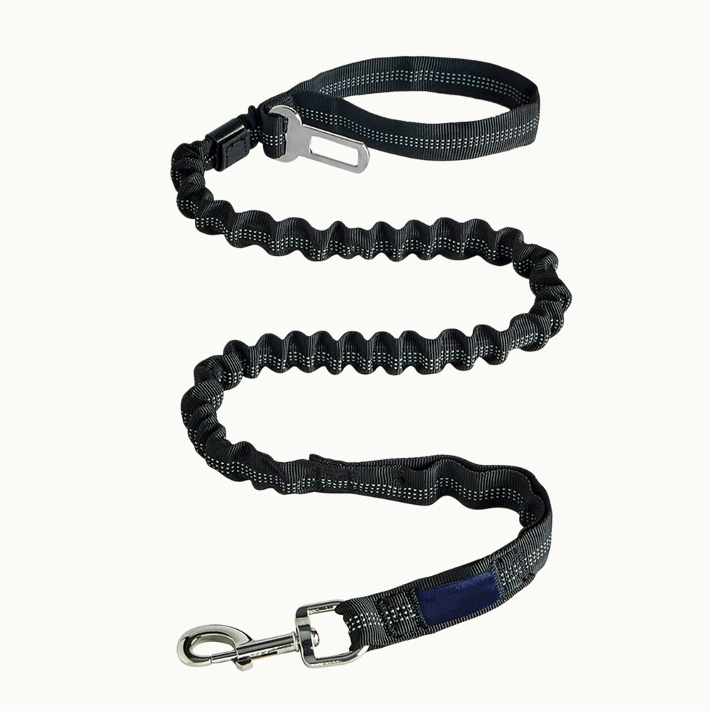 Heavy Duty Dog Leash