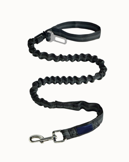 Wide Nylon Dog Leash