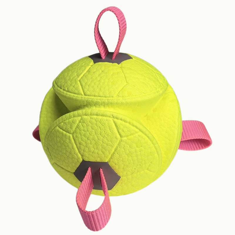 Floating Soccer Dog Toy