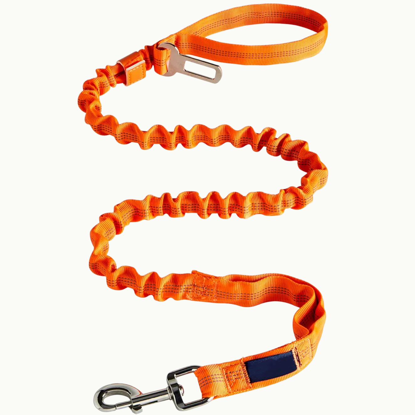 Heavy Duty Dog Leash