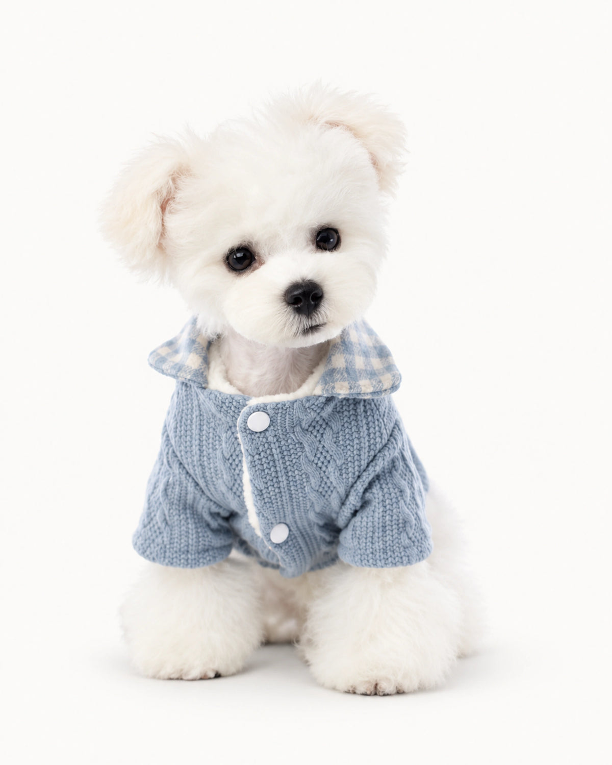 Plaid Knit Pet Sweater