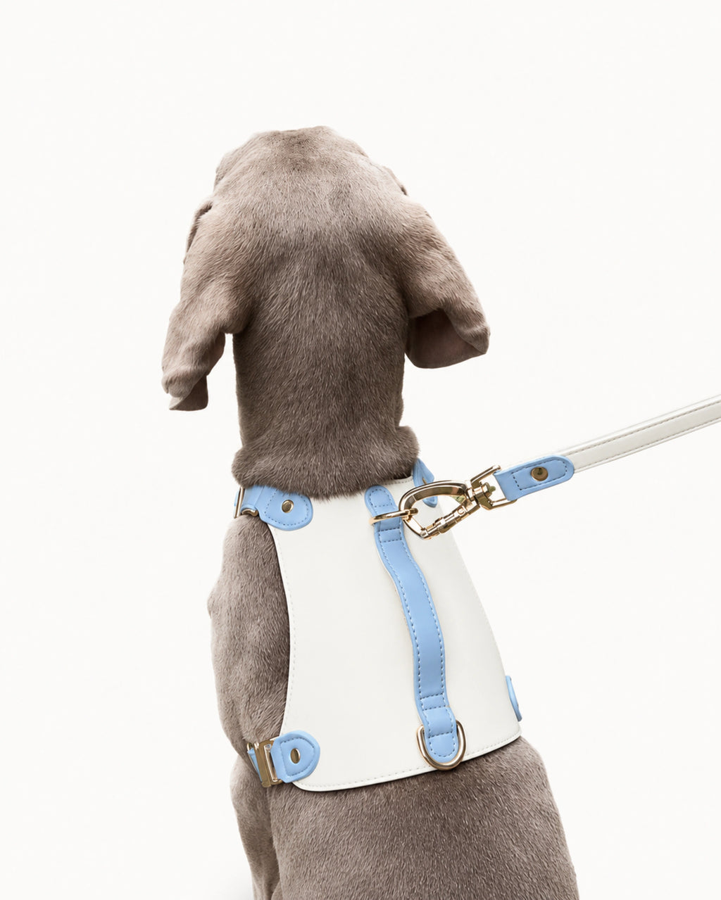 Premium Leather Dog Harness