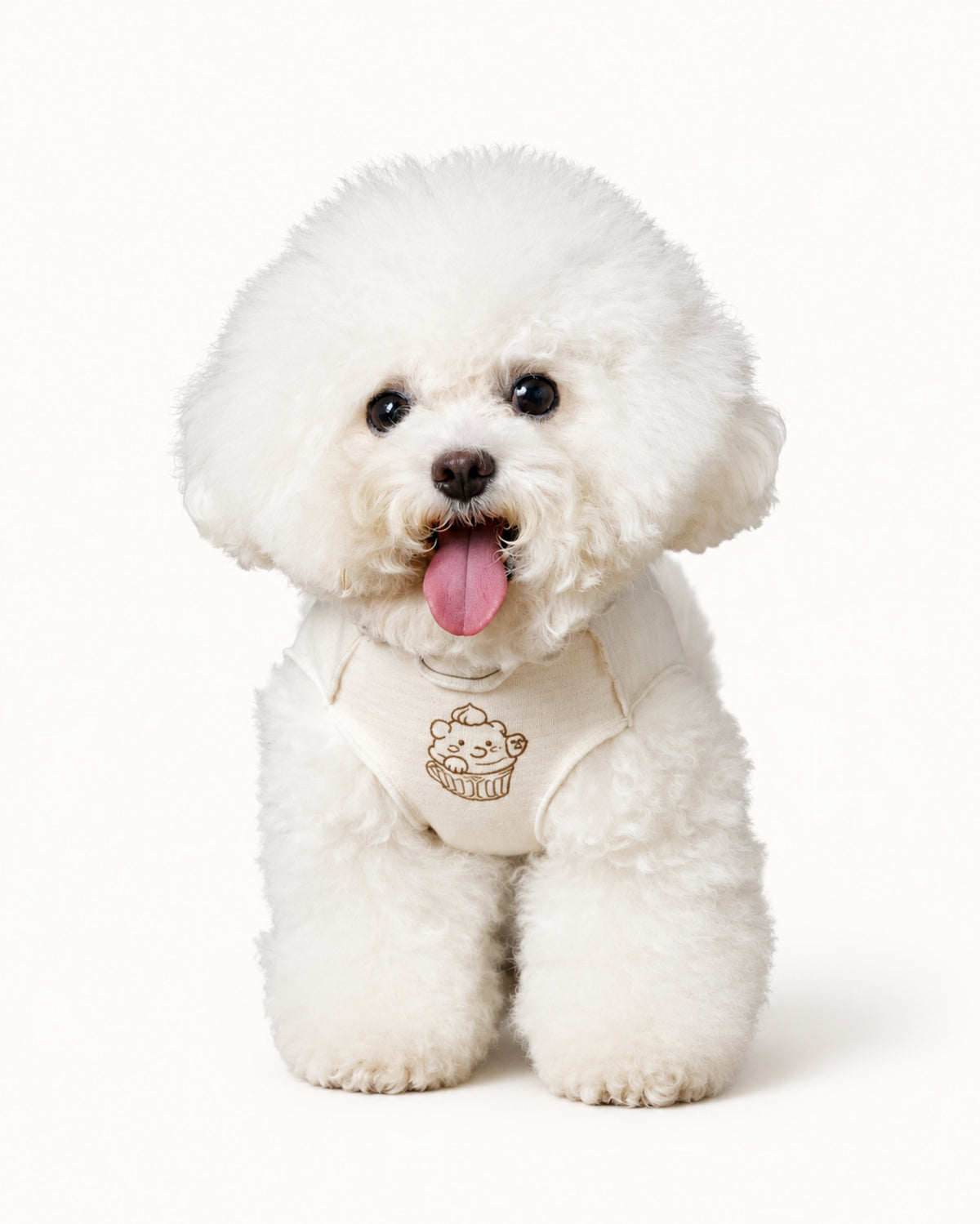 Reversible Ruffle Dog Vest