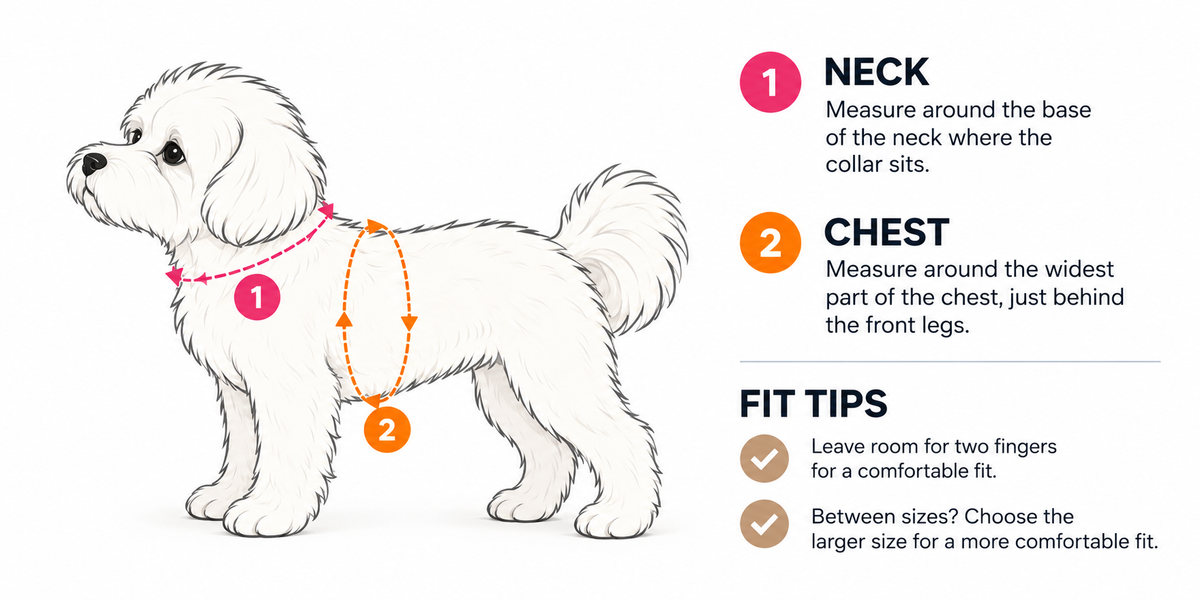 How to measure your dog