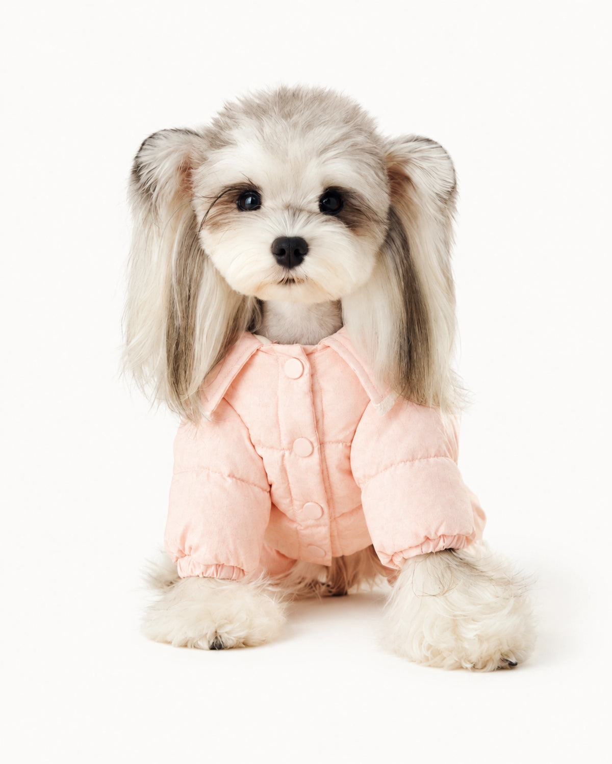 Pink Down Dog Winter Coat
