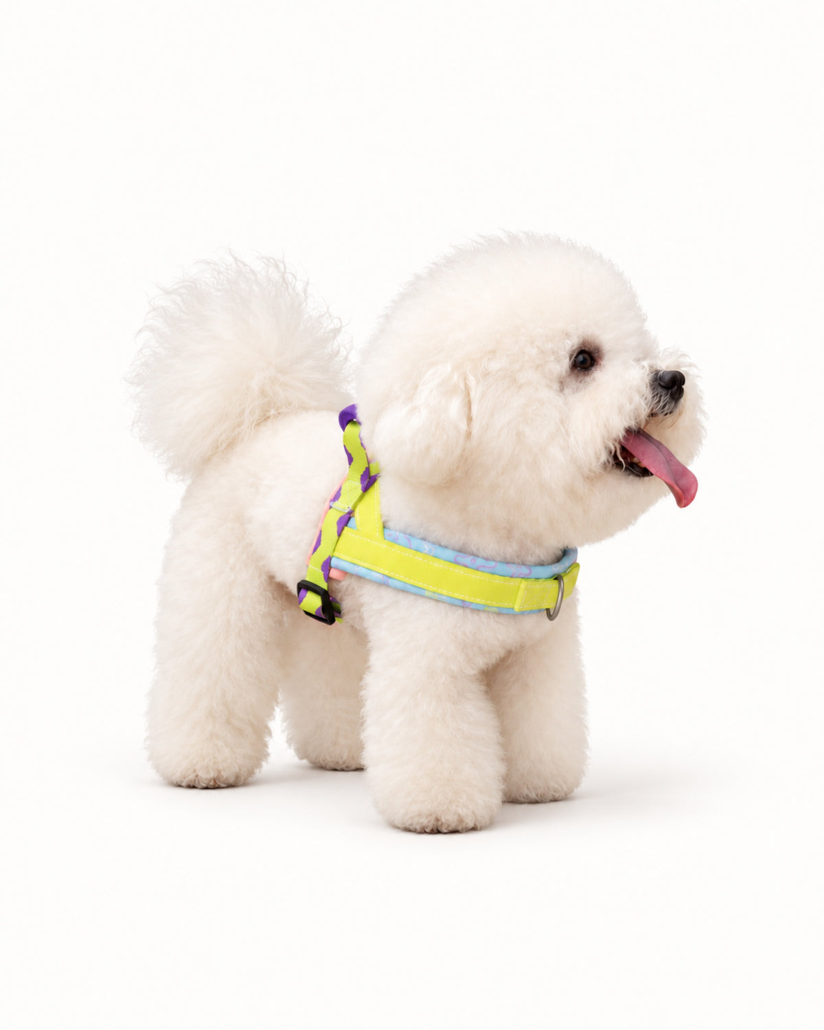Soft Padded Dog Harness & Leash Set