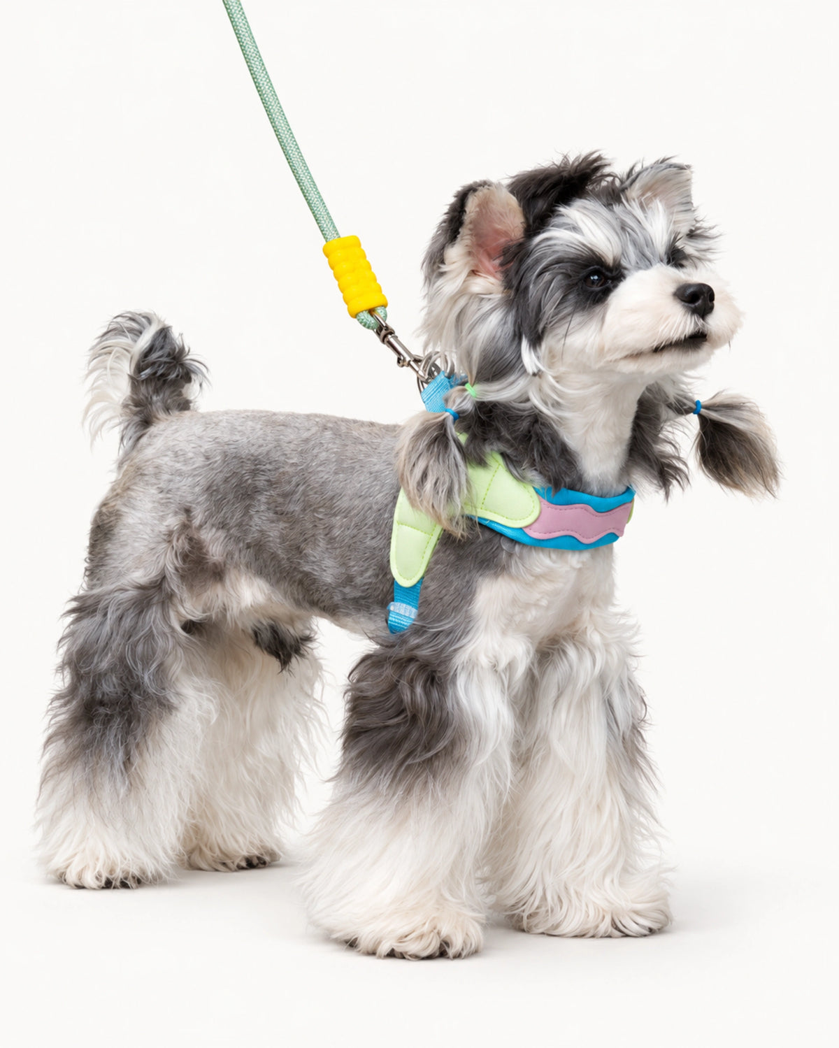 Adjustable Saddle Dog Harness