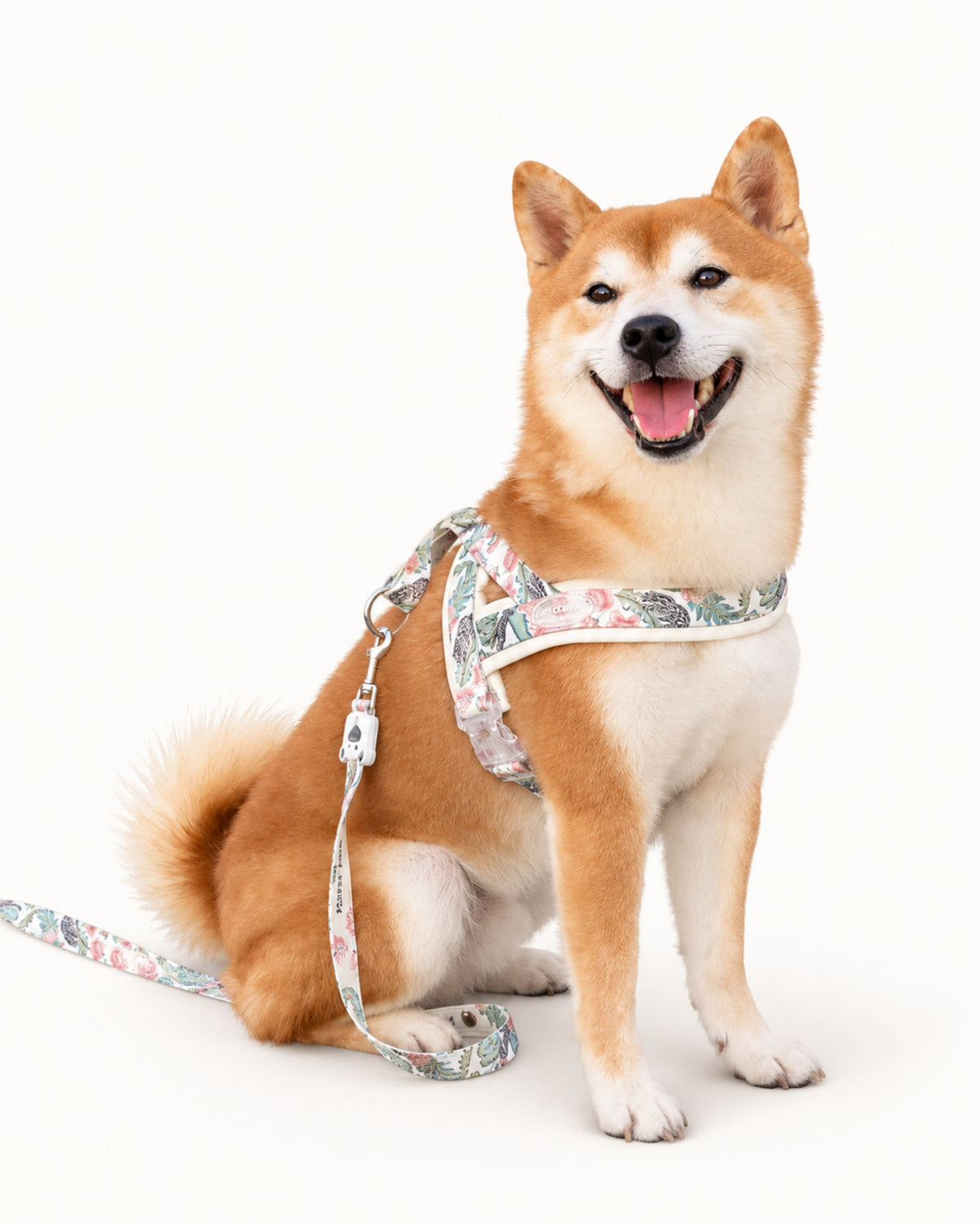 Saddle Dog Harness & Leash Set
