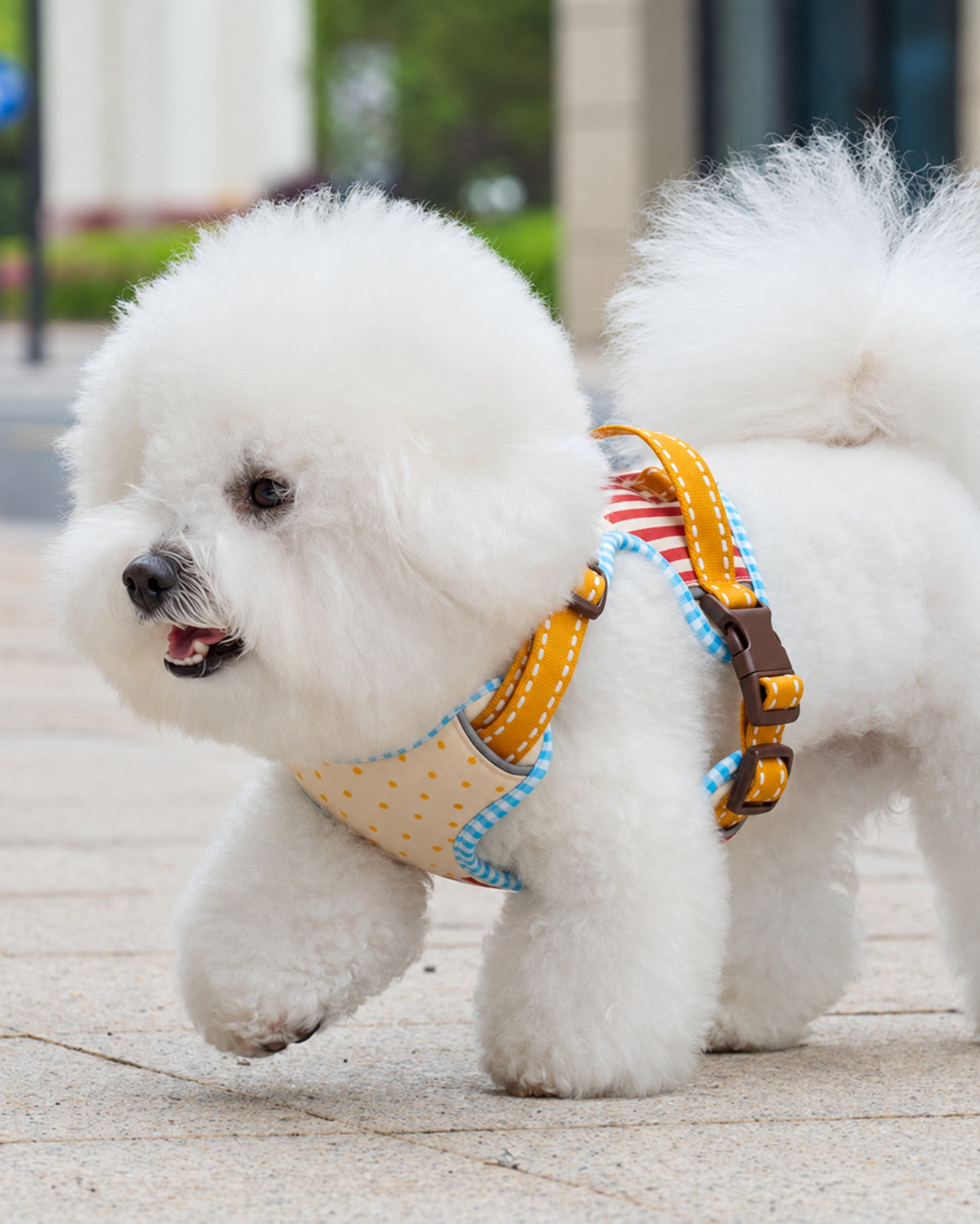 Soft Vest Dog Harness