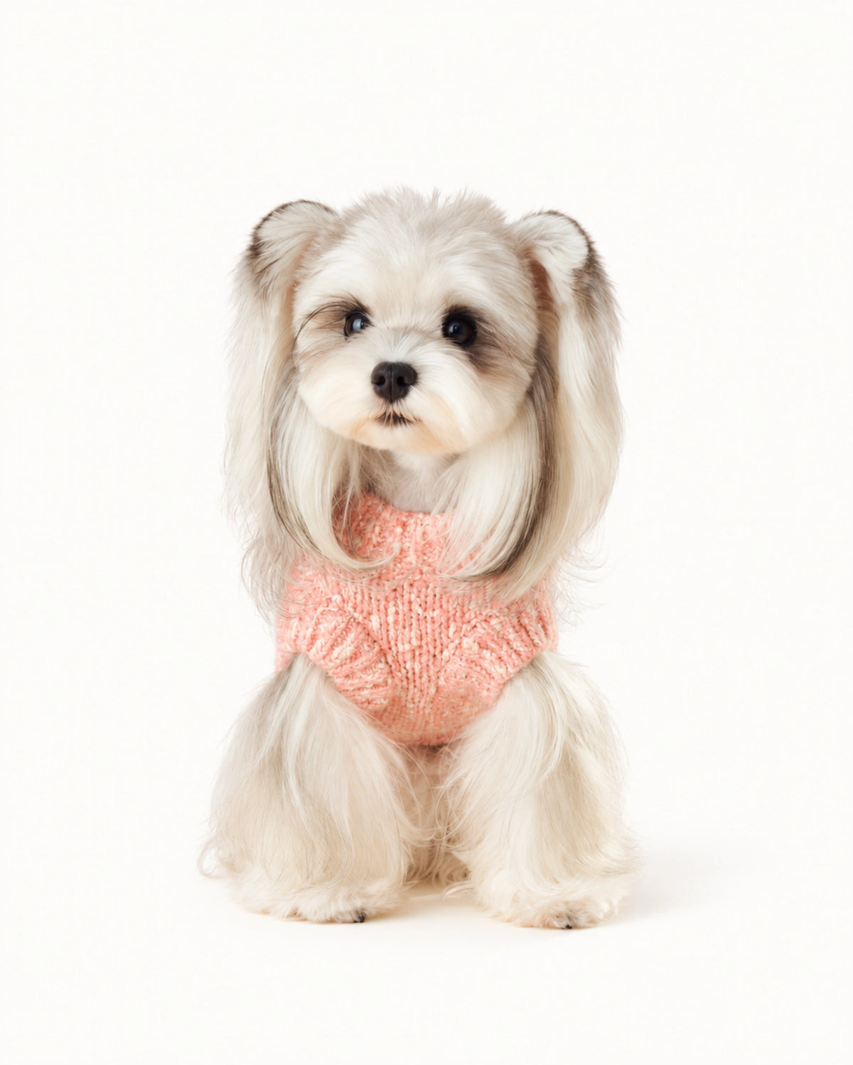 Knit Dog Sweater Vest