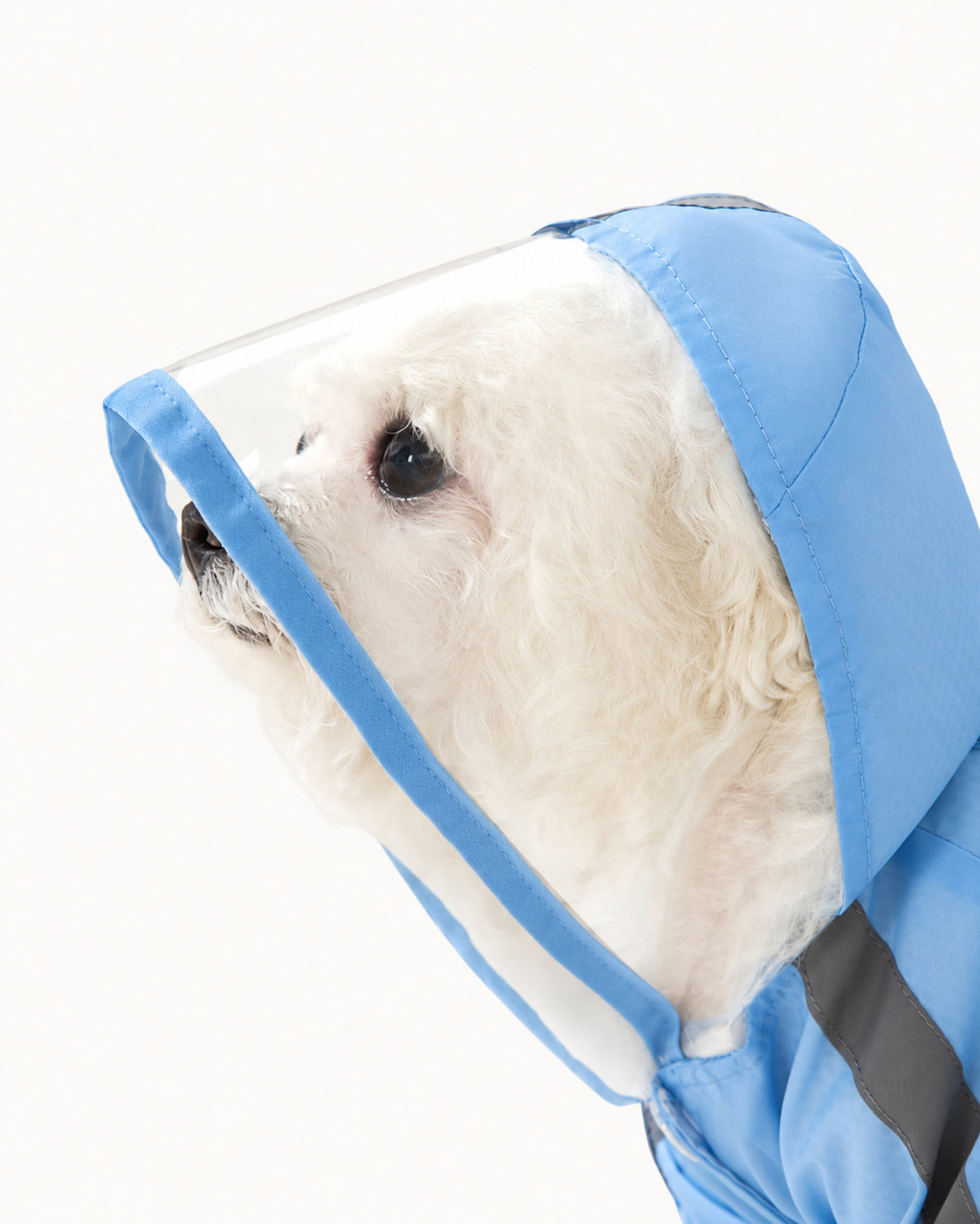 Full-Coverage Dog Raincoat with Leg Covers
