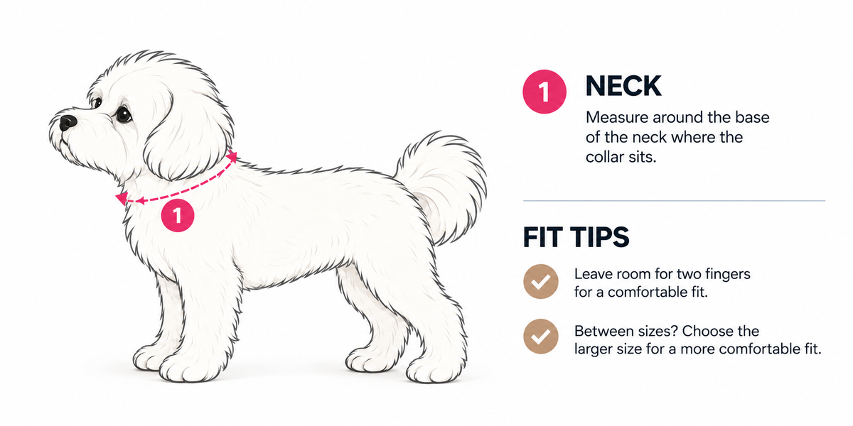 How to measure your dog