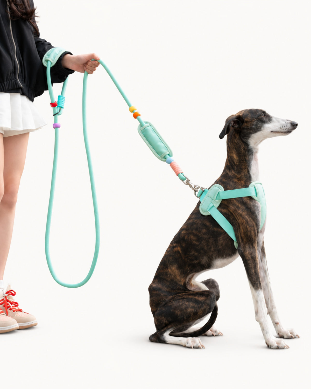 Adjustable Hands-Free Dog Leash