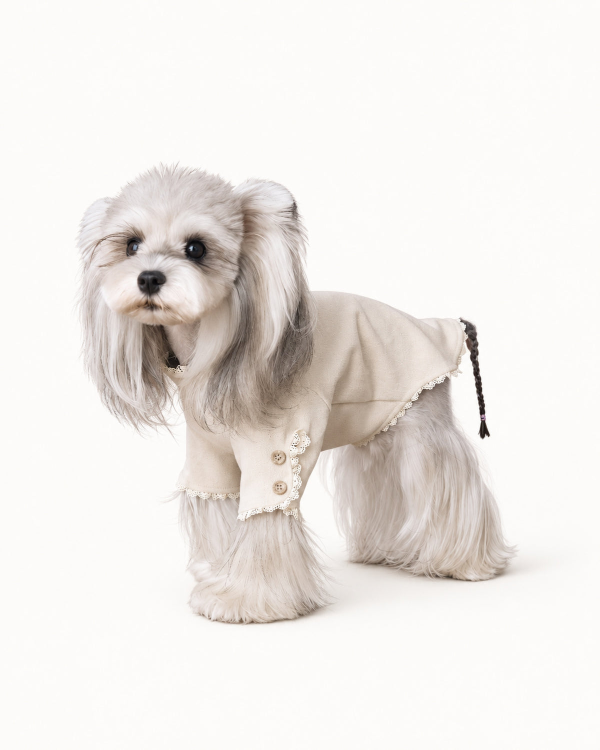 Lace Trim Knit Dog Shirt