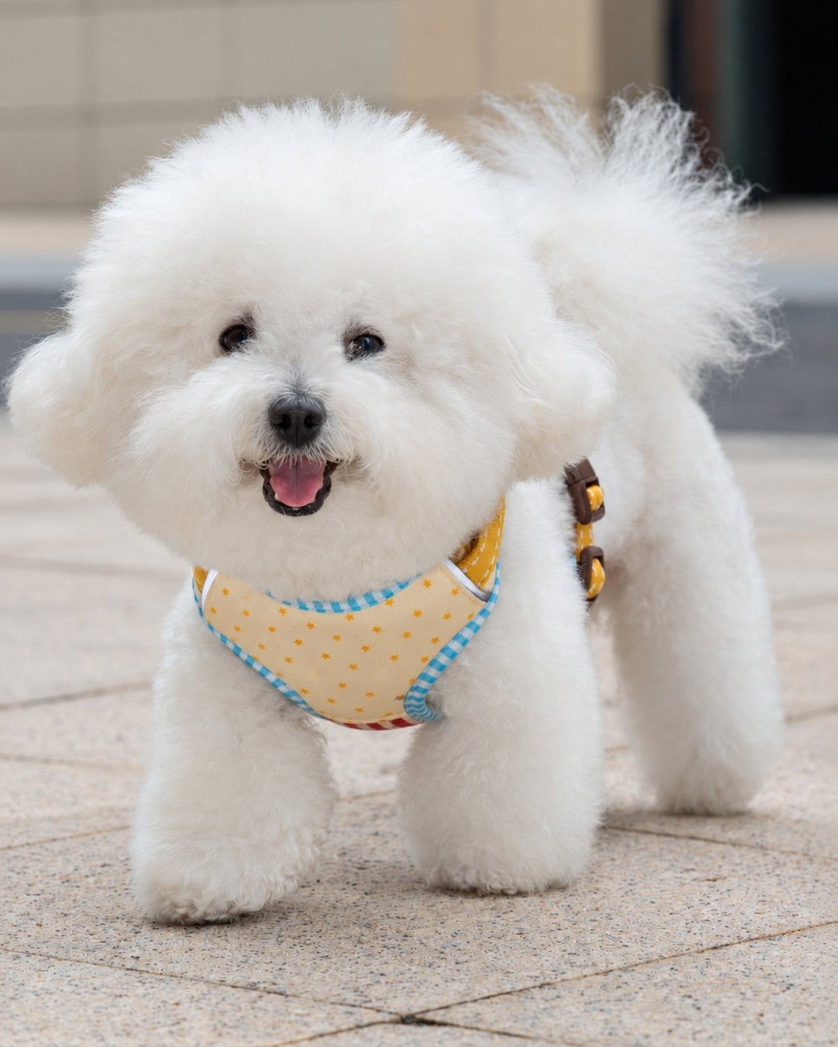Soft Vest Dog Harness