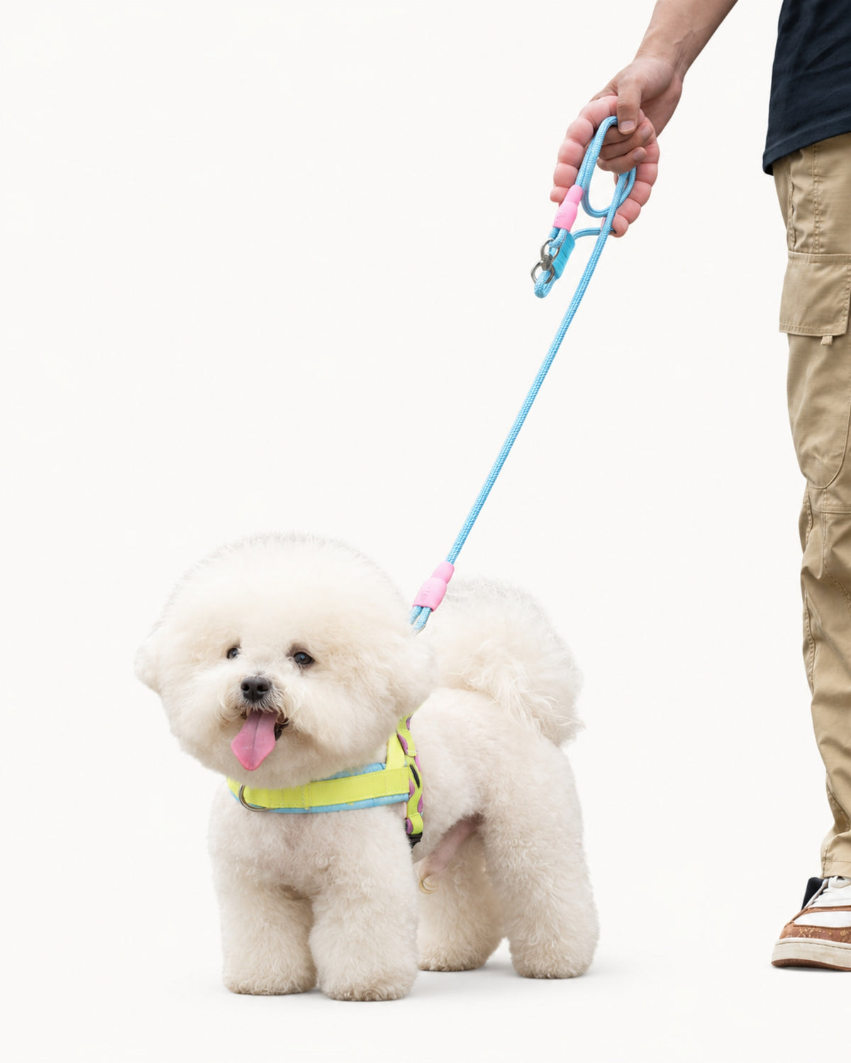 Soft Padded Dog Harness & Leash Set