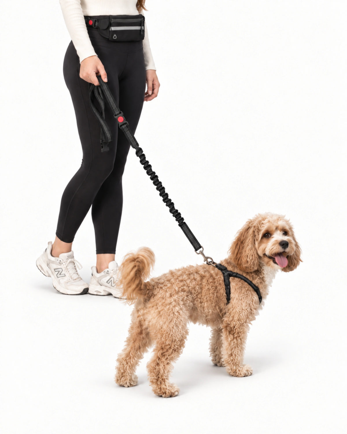 Hands-Free Dog Leash with Waist Pack