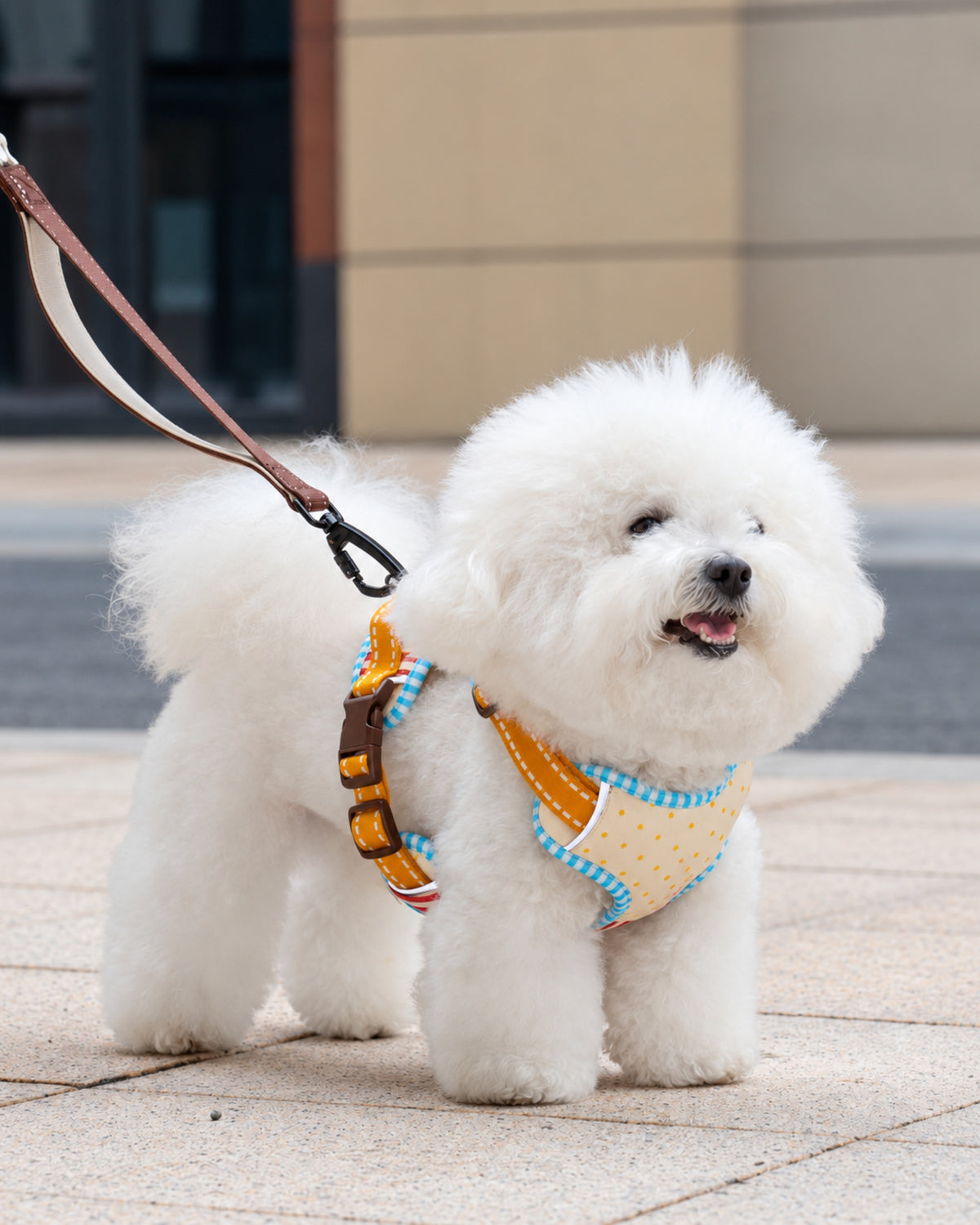 Soft Vest Dog Harness