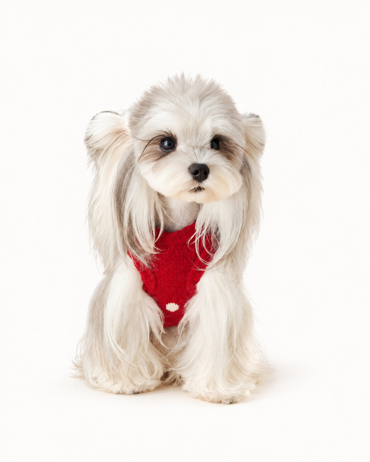 Polka Dot Bear Knit Dog Sweater
