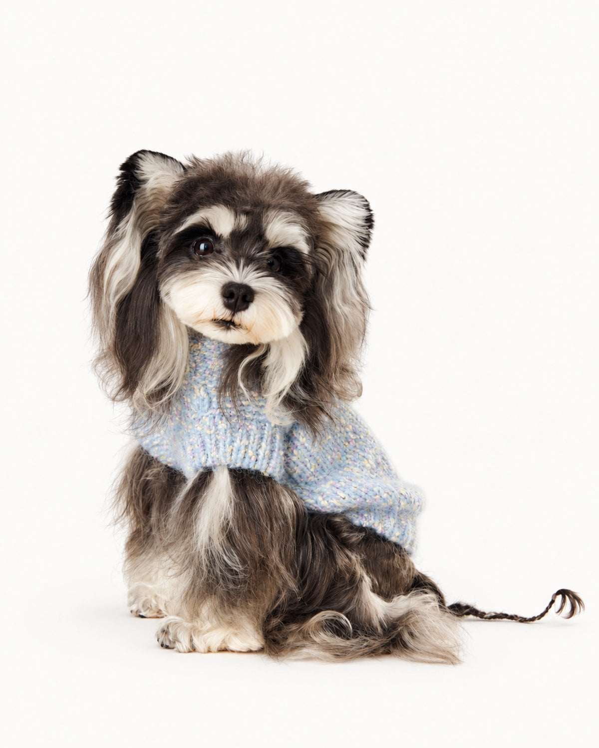 Knit Dog Sweater Vest