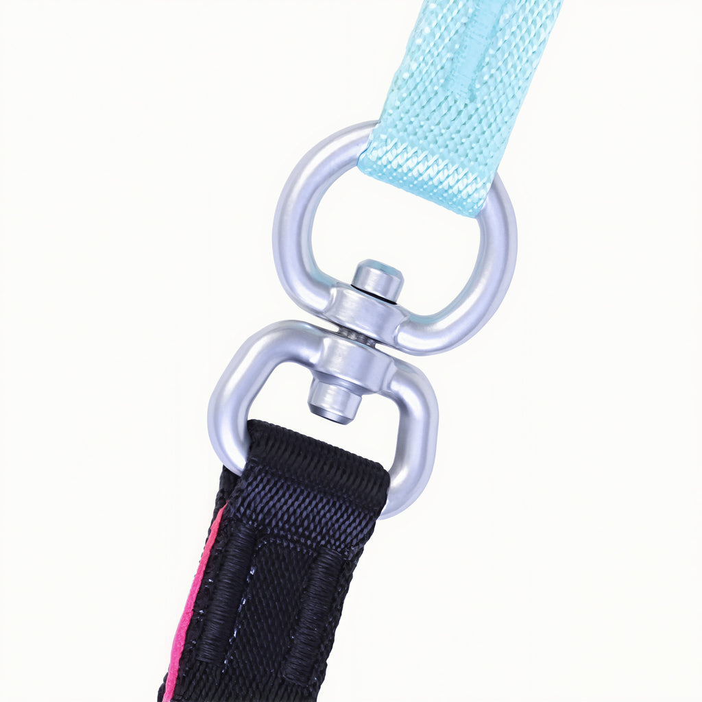 Heavy Duty Dog Leash