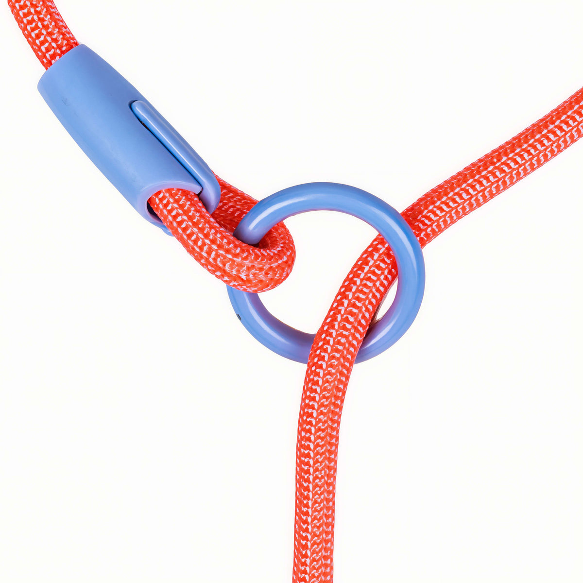 Premium Nylon Dog Leash