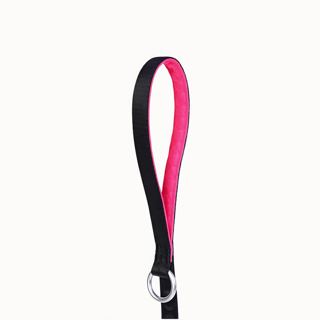 Heavy Duty Dog Leash
