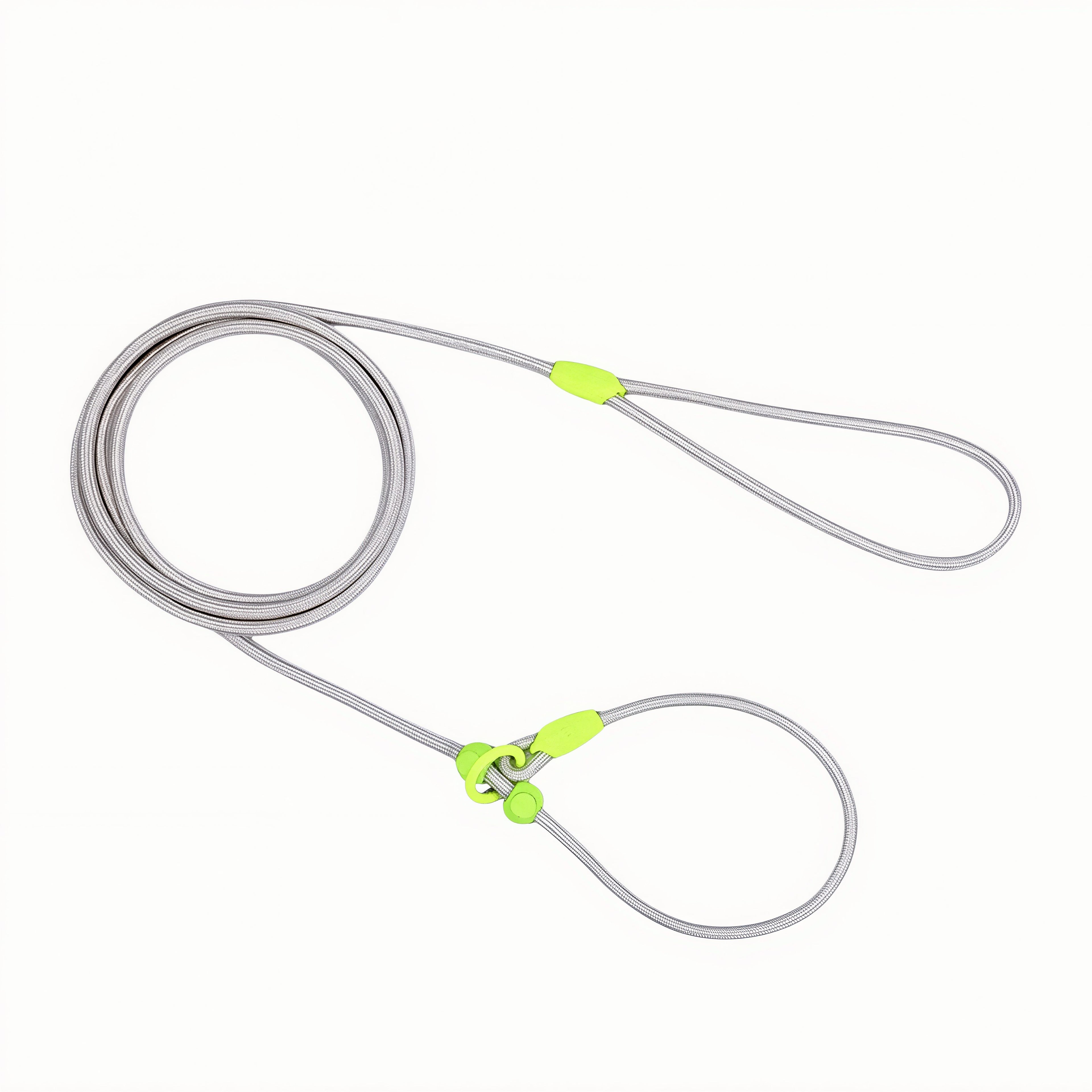 Premium Nylon Dog Leash