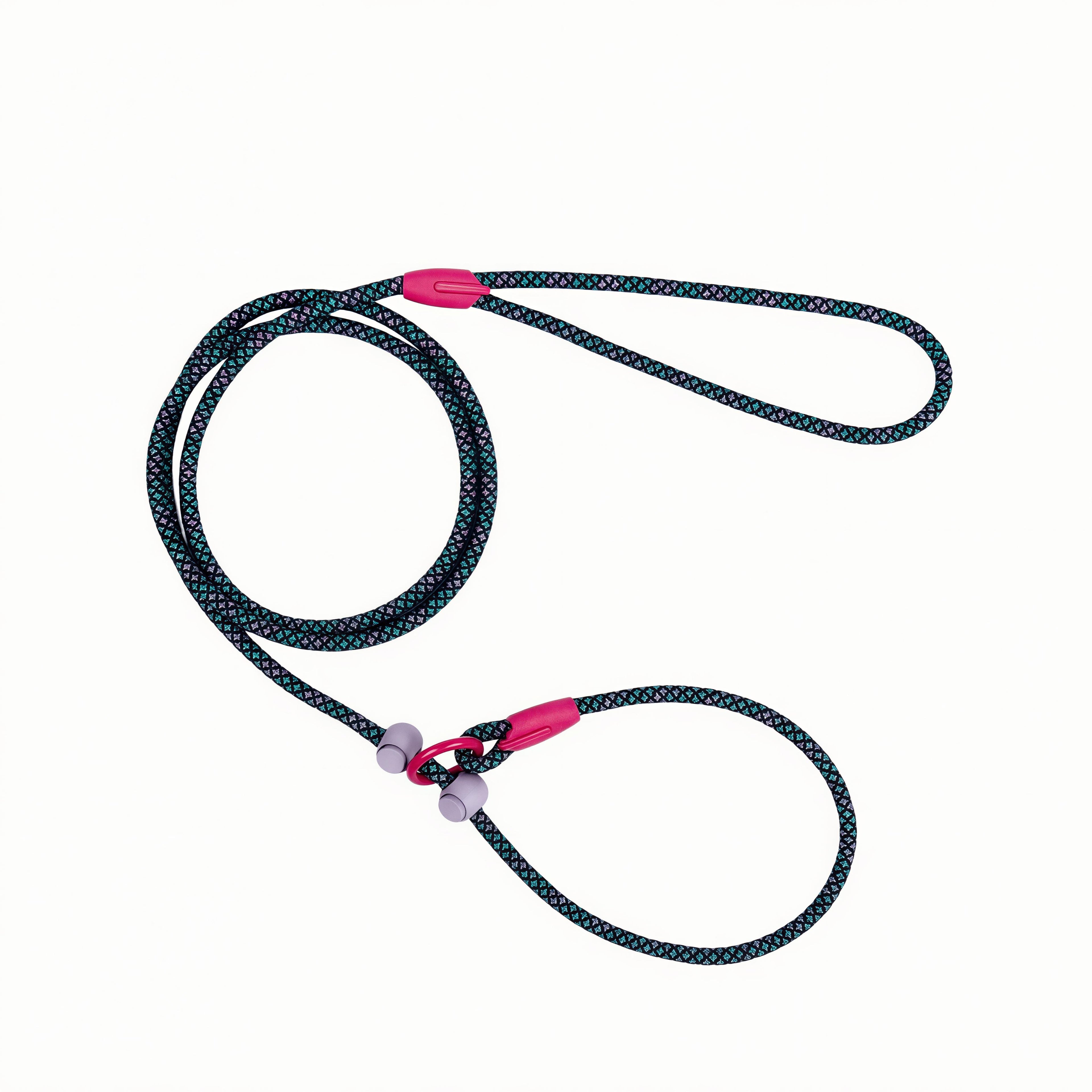 Premium Nylon Dog Leash