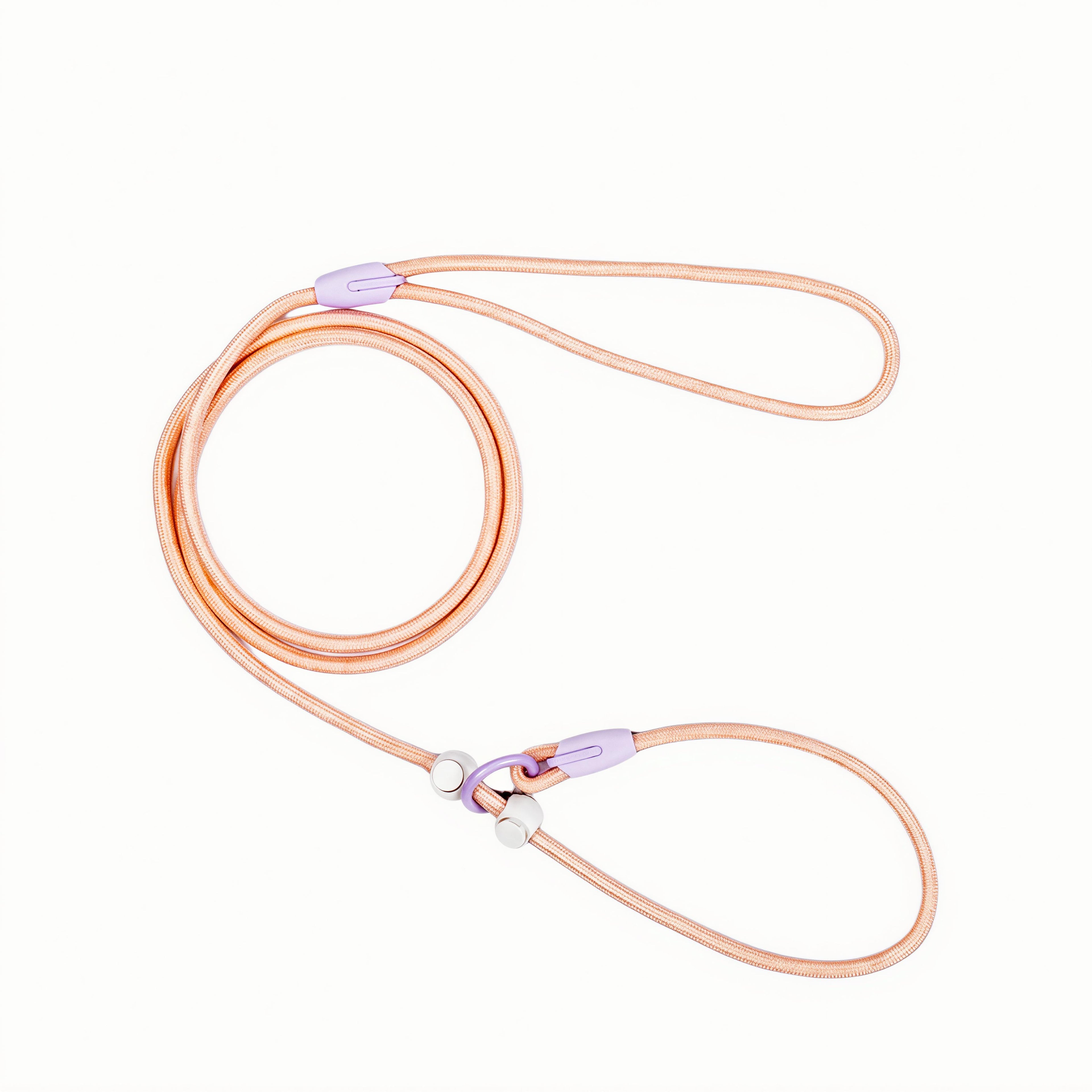 Premium Nylon Dog Leash