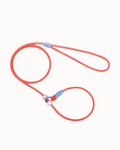 Premium Nylon Dog Leash