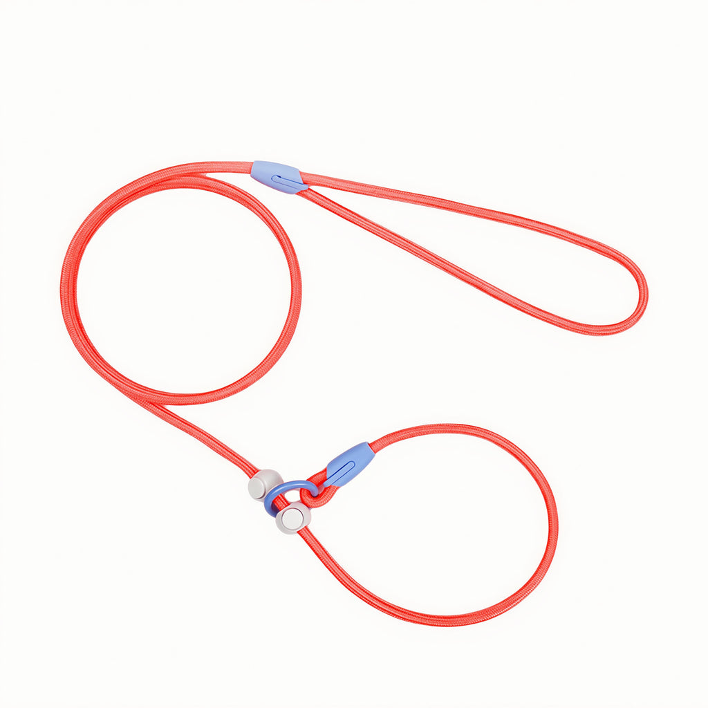Premium Nylon Dog Leash