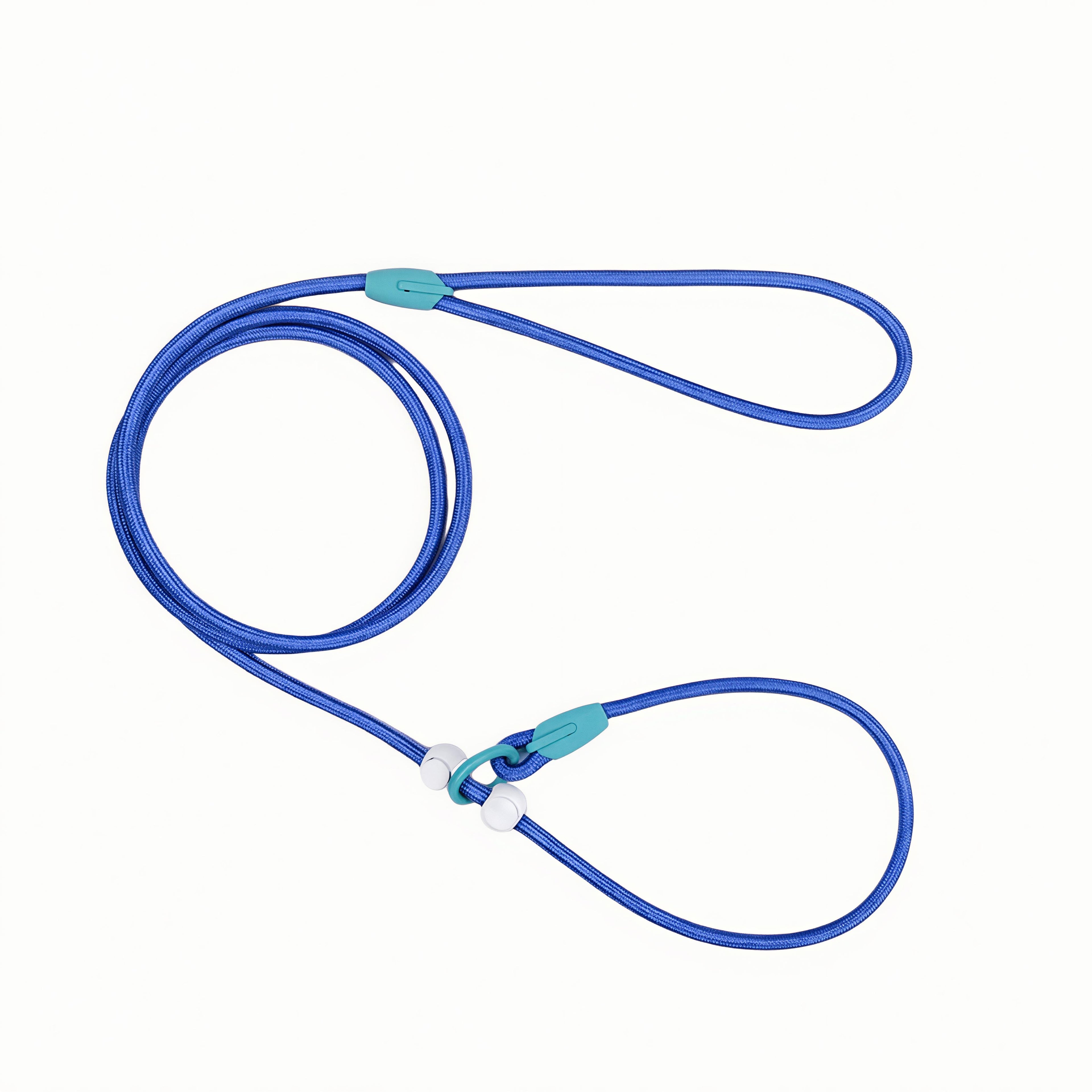 Premium Nylon Dog Leash
